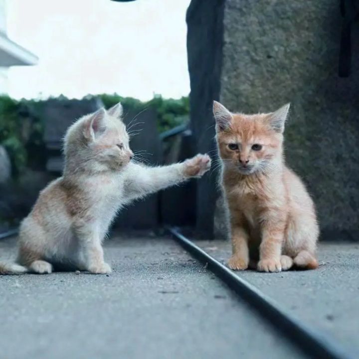 水贴截图
