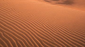 为你等待 ，只为与君沙场眠