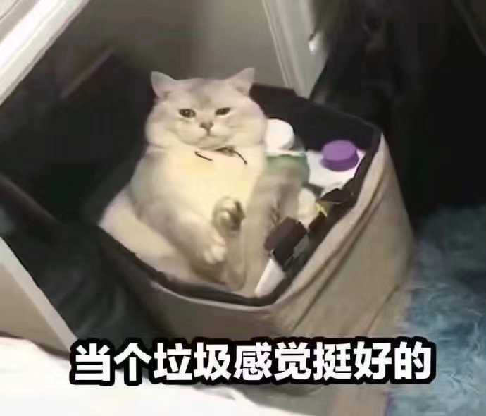人下人安卓还有机会吗截图