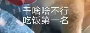 写给想刷抗性的人:如何快速刷满抗性(10.19更新)