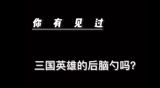 【风起三国】你有见过三国英雄人物的后脑勺吗?截图
