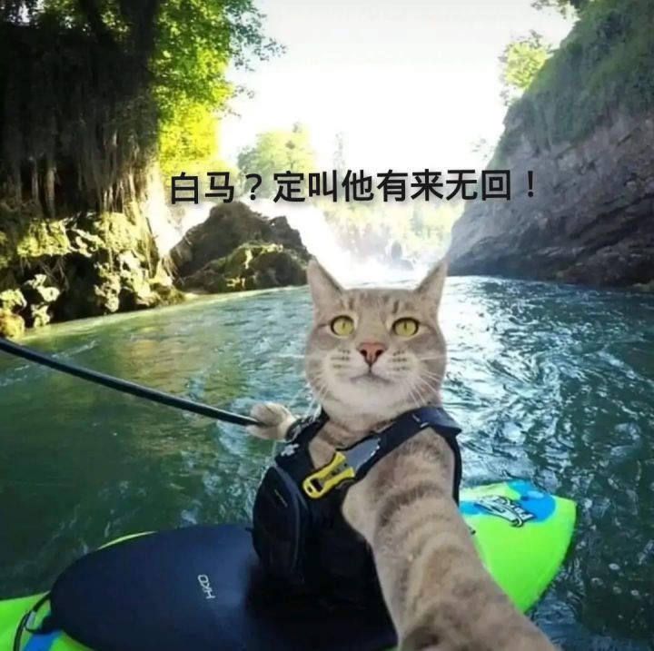 大佬们,寻龙每天最多是只有三个墓吗…截图