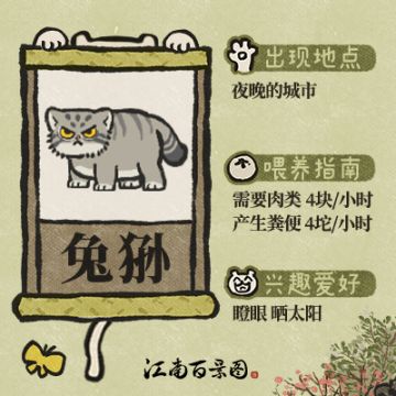 【江南萌物图鉴】 猫科动物中的“表情包” —— 兔狲