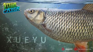 增益不停！《钓鱼大对决》送垂钓新福利