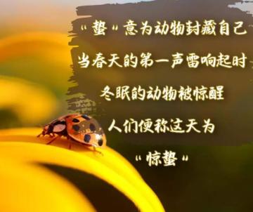 惊蛰万物复苏，听听诗人怎么说