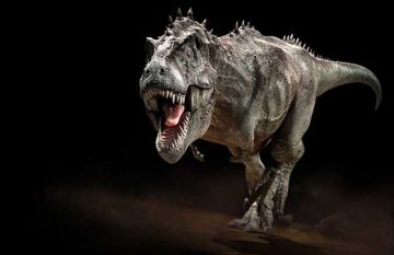 恐龙魅力有多大 孩子为何如此钟情《我的恐龙》