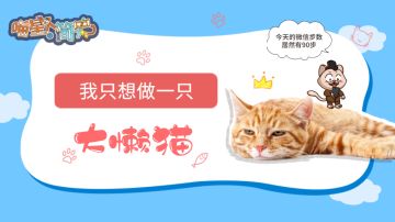 我只想做一只大懒猫