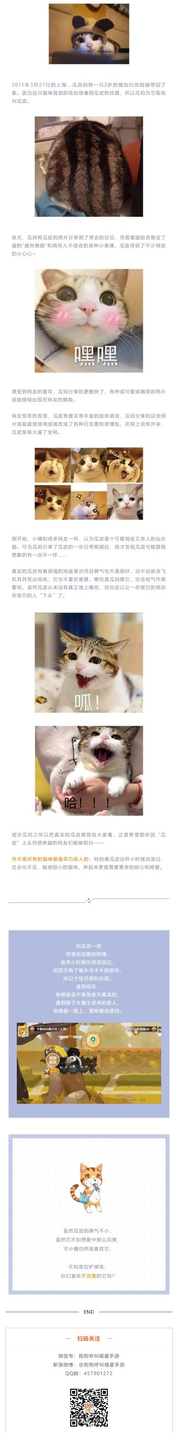 我不信有人没用过它的表情包！