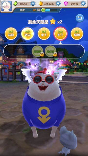 萌新上手指南：关于训练师大赛这点小事