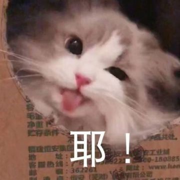 #狼人夜话# 20220222也是正月二十二星期二，被大家称为“最有爱的一天”。狼村的家人们也想要感受爱~快来下方为你最喜爱的角色投出饱含爱意的一票吧！