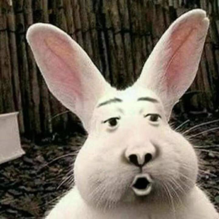 萌新入坑截图
