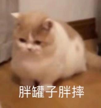氵截图