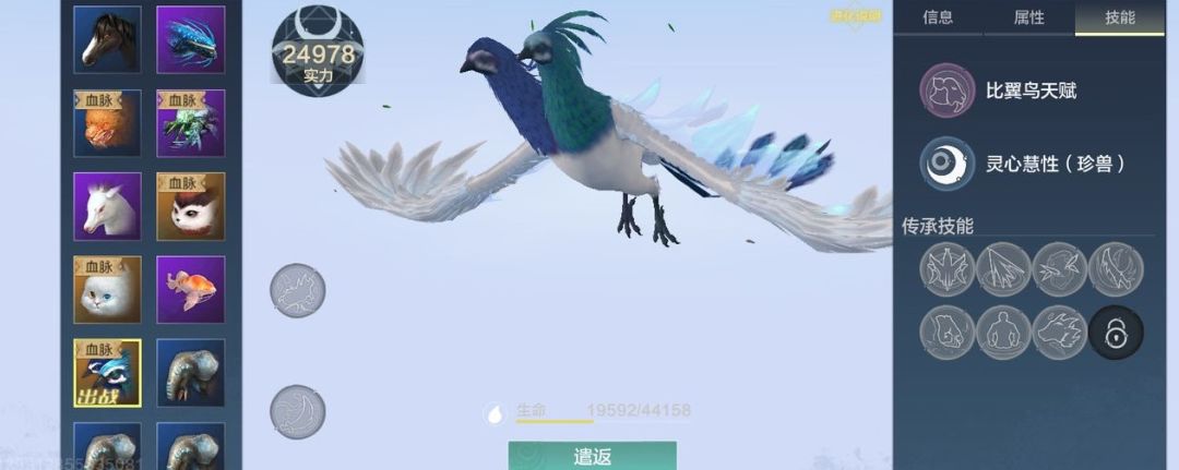 妄想山海比翼鸟的技能是什么截图