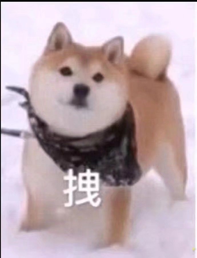 我又来问问题了！！截图