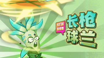 【植物介绍】长枪球兰