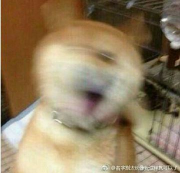 (同人) 『瑞格纳心火』 弗尔斯特