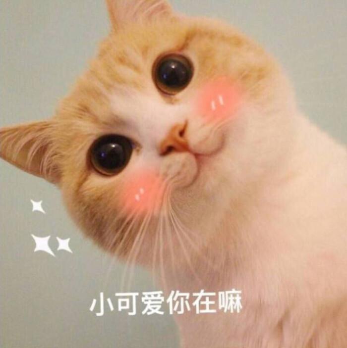 互点留下邀请码截图