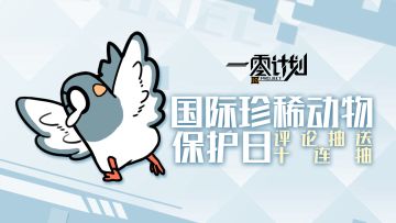 评论送十连！海豹体验游发车啦！