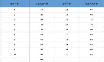 猫咪的一岁等于我们的多少岁呢？