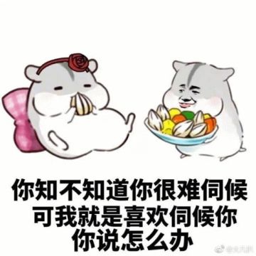 《我的甜蜜花园》首测说明&开发计划【官方】