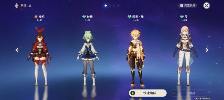 萌新配队截图
