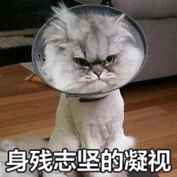 【今日话题】小法师是一个人吗