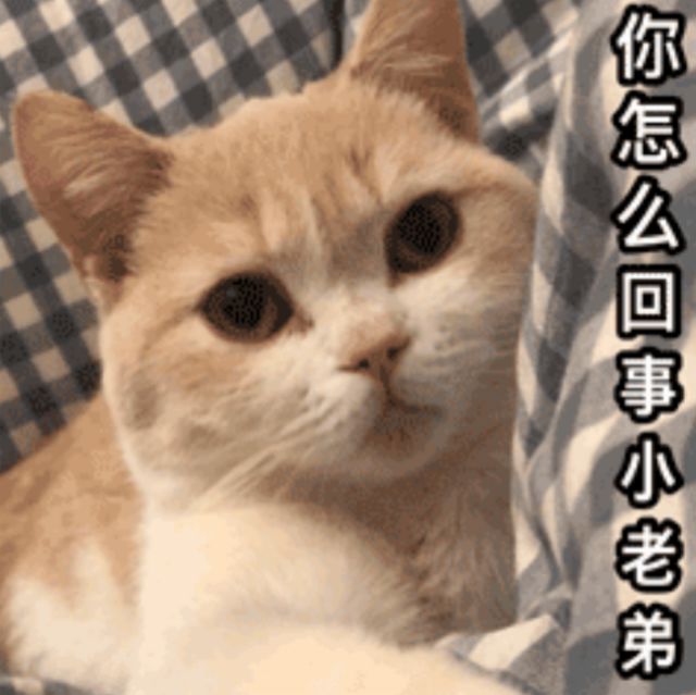 奉劝大家组队抓虫的时候不要聊天截图