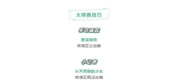 《剑网3：指尖江湖》源明雅攻略专访（大师赛技巧篇）