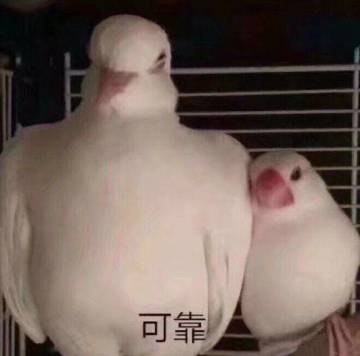 【新车预告】重量级泰坦强势亮相！前排竞猜大招名