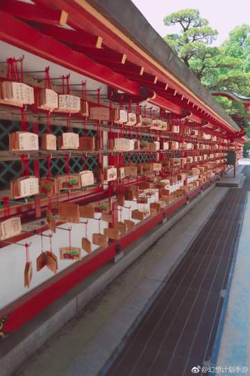 幻想岛到达！《幻想计划》夏日海上邮轮活动全纪录！