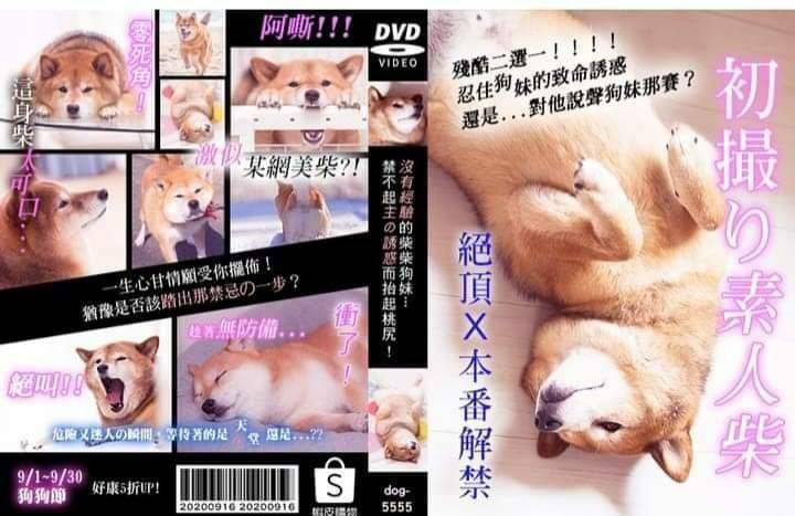 剧情分析(不想被剧透请走开)截图