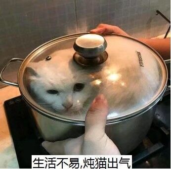 【公告】关于【防沉迷系统】错误问题修复公告