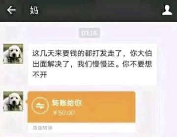 [互联网记事] 轰动一时的“互联网四大悲剧”，究竟是什么？