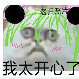 video-1362618
