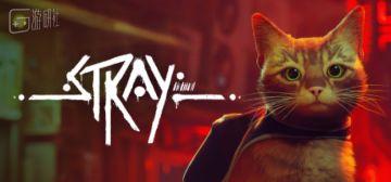 猫猫模拟器《Stray》到底讲了一个什么故事？