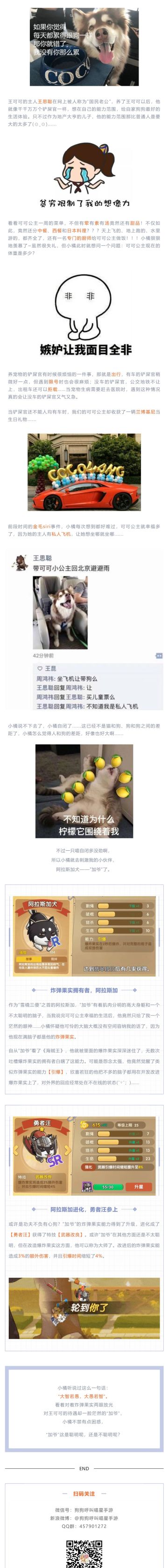 猜猜谁是狗生赢家