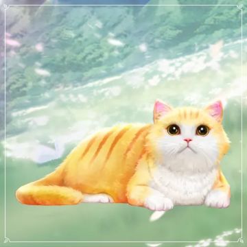 极光上新 | 撸萌猫？换新衣？快来接受这波可爱暴击吧！