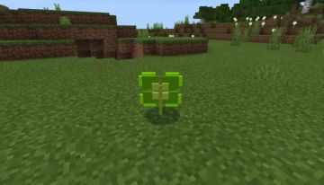 这座会移动的小山，竟然是只萌萌的生物！