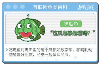 在大润发杀了十年的鱼，从没有一条让我如此心动。