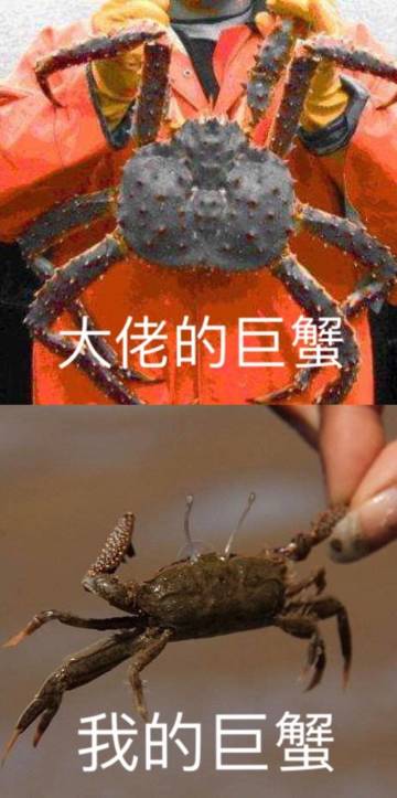 来看一看大佬的沙加和我的沙加有什么不同