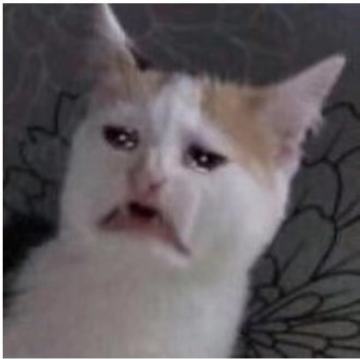 大家好我们又双叒叕停服维护拉！