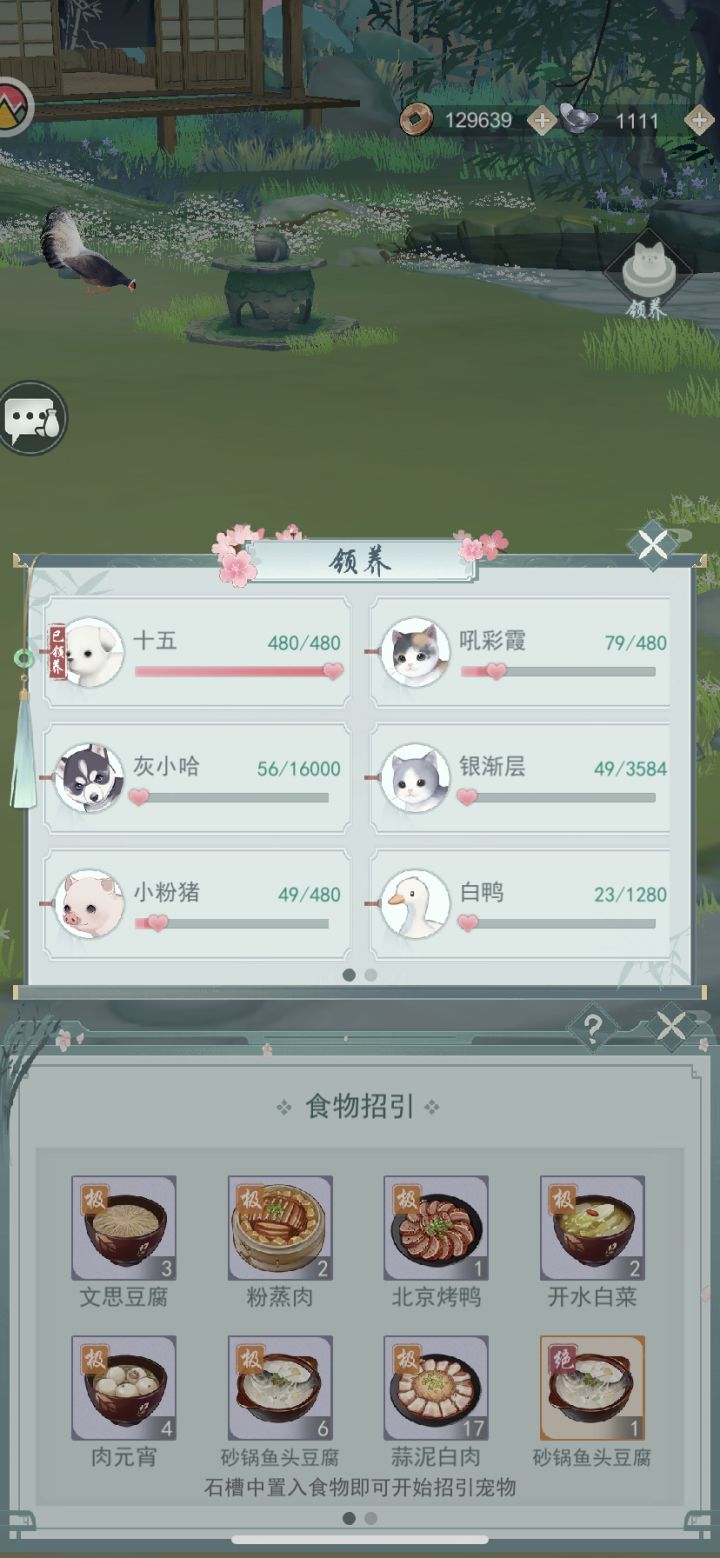 二哈,银渐层这是要按年来喂?截图