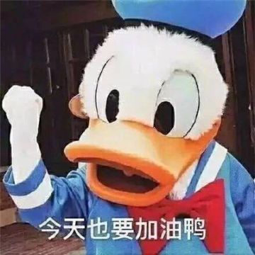 【桃源回响】开发组日志VOL3——你们最期待的优化，它来了！