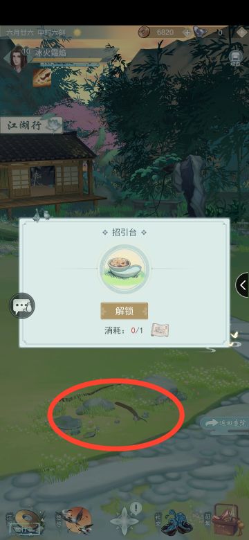 宠物领养夺食招引台相关