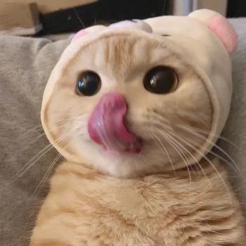 打卡截图