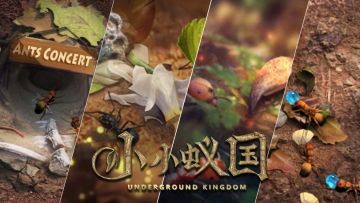 《小小蚁国》预祝各位统领假期快乐！