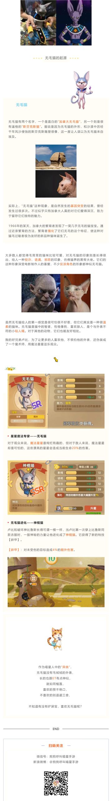 喵界大佬，竟是无毛猫？