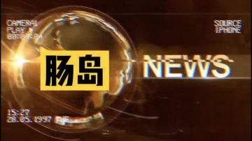 肠岛快报（番外篇）快报