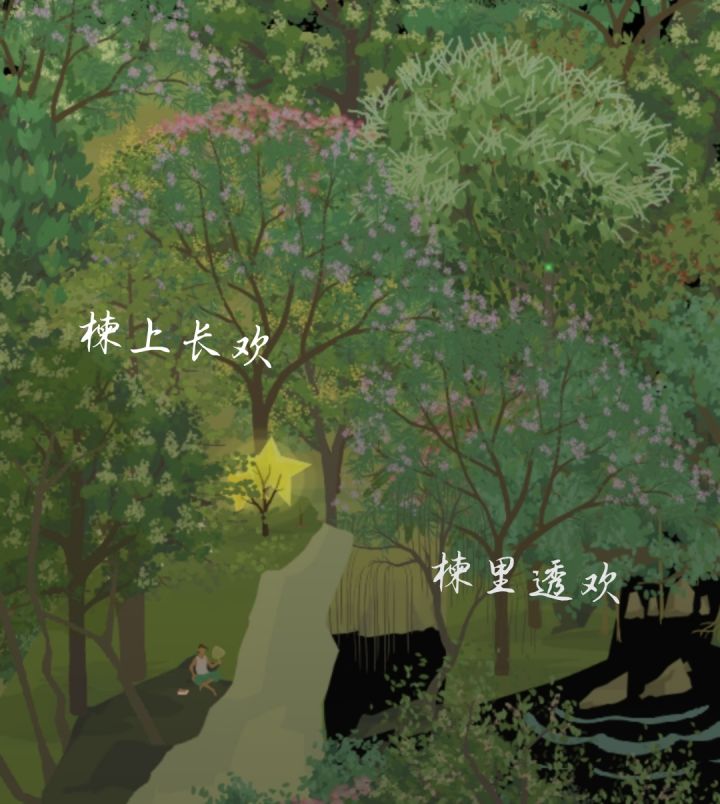 论合欢+截图