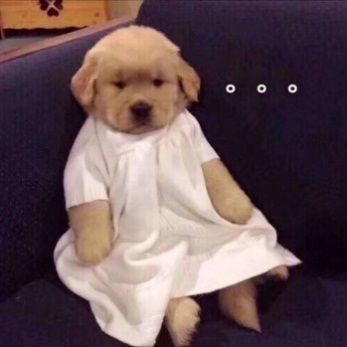 研发故事 | 我，二狗子，被老板安排了